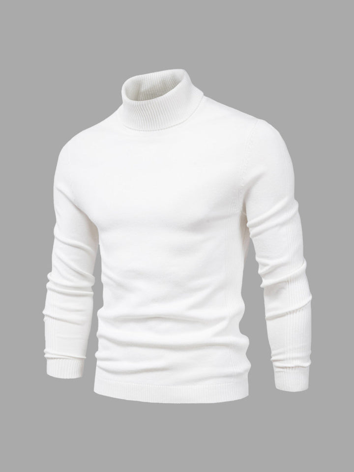 Pull homme | Col roulé, coupe classique 0