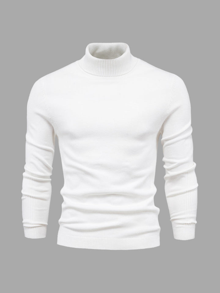 Pull homme | Col roulé, coupe classique 1