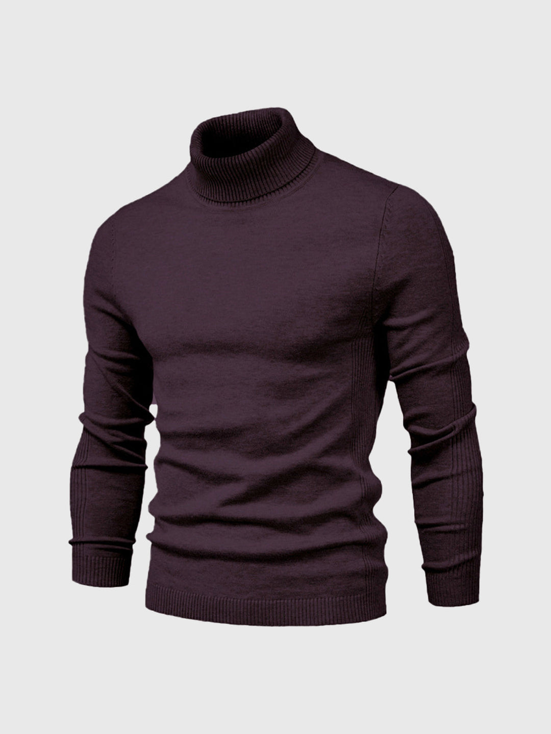 Pull homme | Col roulé, coupe classique 10