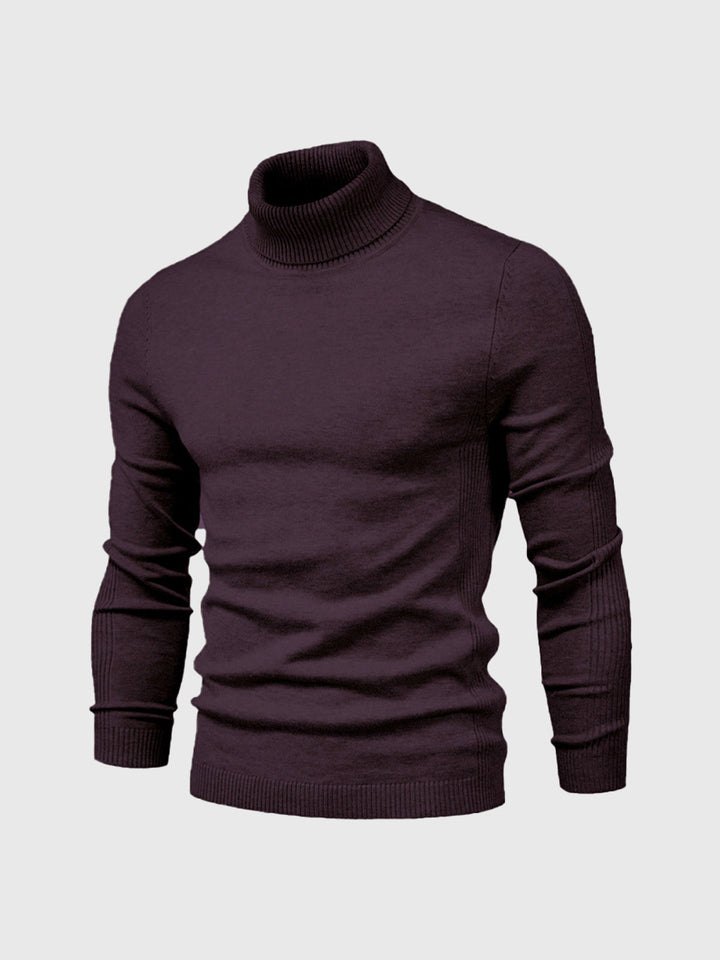 Pull homme | Col roulé, coupe classique 10