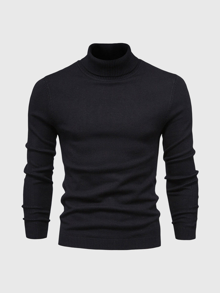 Pull homme | Col roulé, coupe classique 12