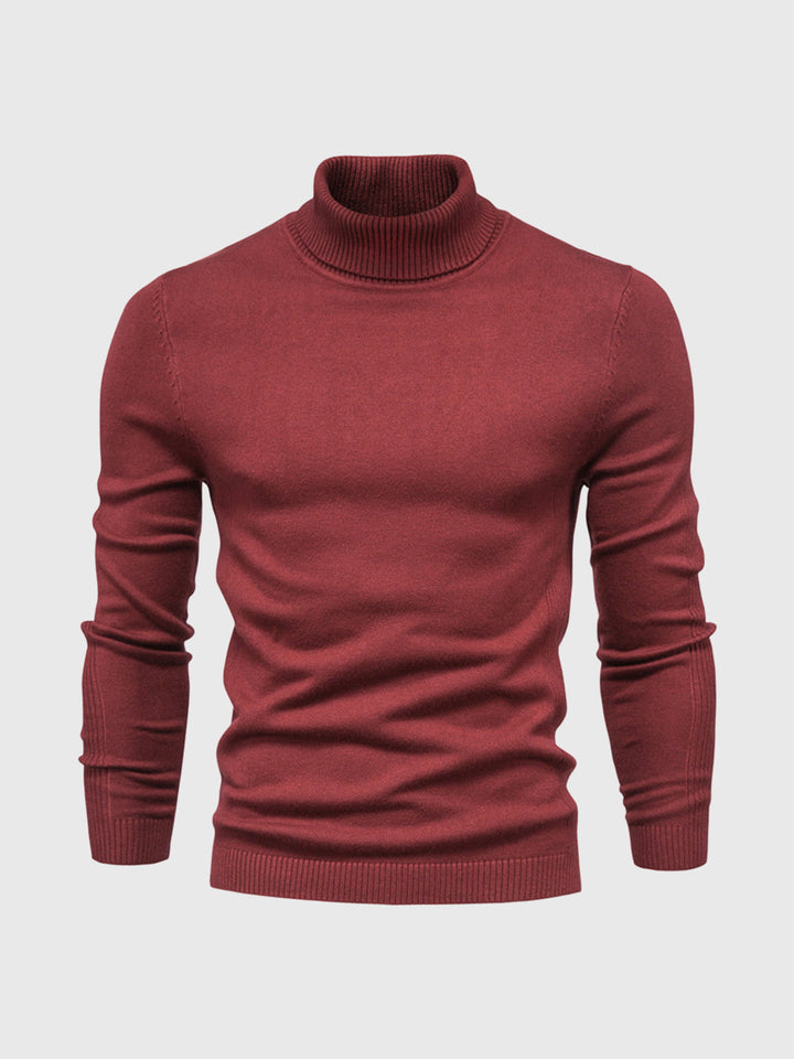 Pull homme | Col roulé, coupe classique 5