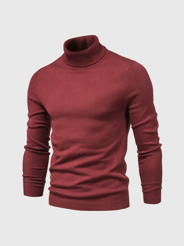 Pull homme | Col roulé, coupe classique 6